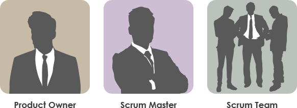 3 Scrum Roles