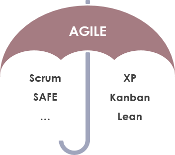 敏捷 vs Scrum